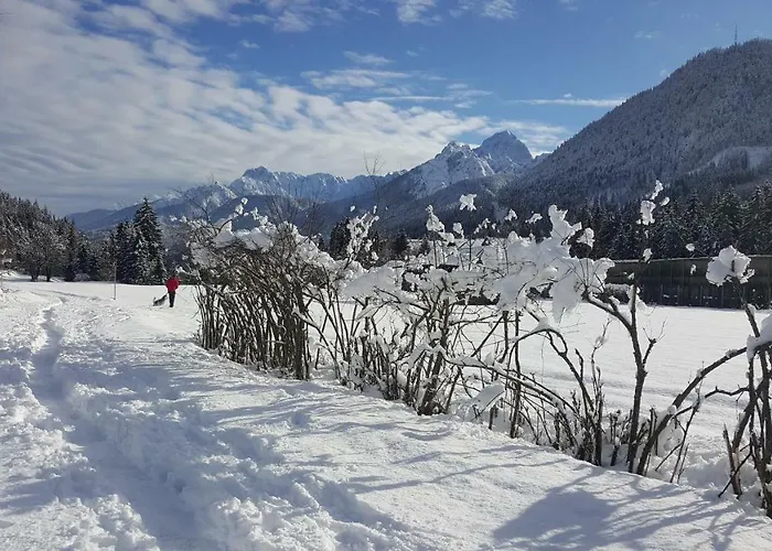 Casa vacanze Mountain Loft Tarvisio